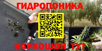 дживик Кунгур